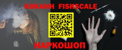 мдпв Кингисепп