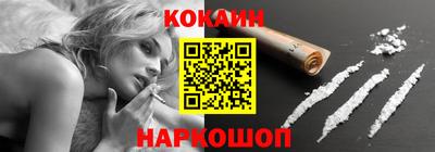 мдпв Кингисепп