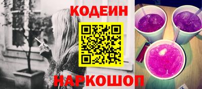 мдпв Кингисепп