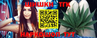 мдпв Кингисепп