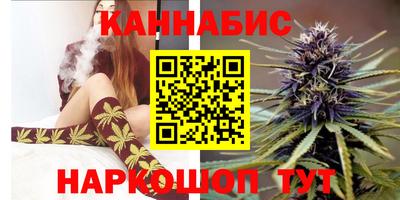 мдпв Кингисепп
