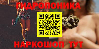 прущие крисы Кимры