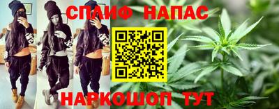 мдпв Кингисепп