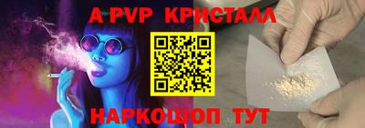 мдпв Кингисепп